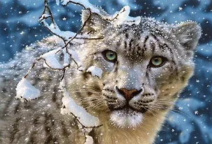 Паззл, Снежный леопард, 1500 элементов 2260217