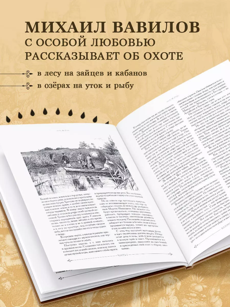 Охота в России во всех ее видах. Иллюстрированная энциклопедия (Михаил  Вавилов) - купить книгу с доставкой в интернет-магазине «Читай-город».  ISBN: 978-5-699-77491-3