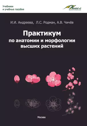 Практикум по анатомии и морфологии высших растений: учебное пособие — 2935088 — 1