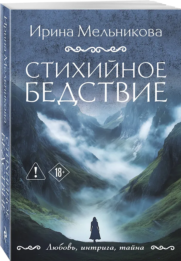 Книга Стихийное бедствие (Ирина Мельникова) — 4
