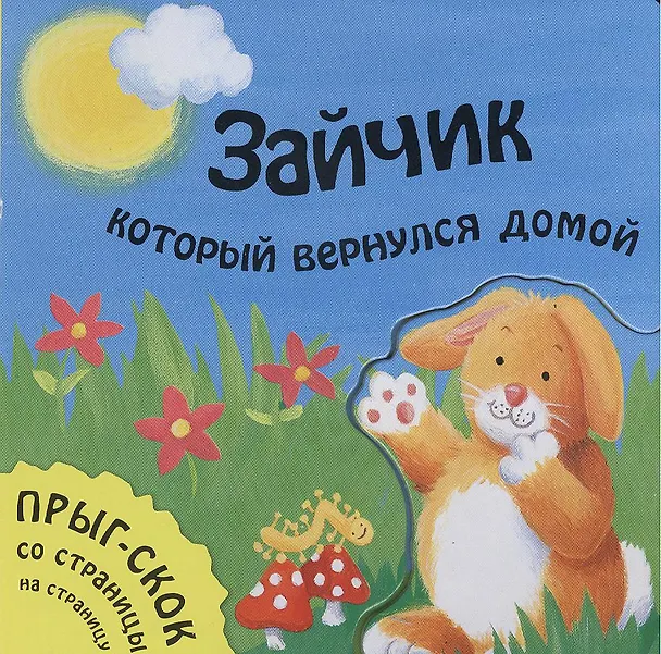 Книга Зайчик, который вернулся домой () — 1