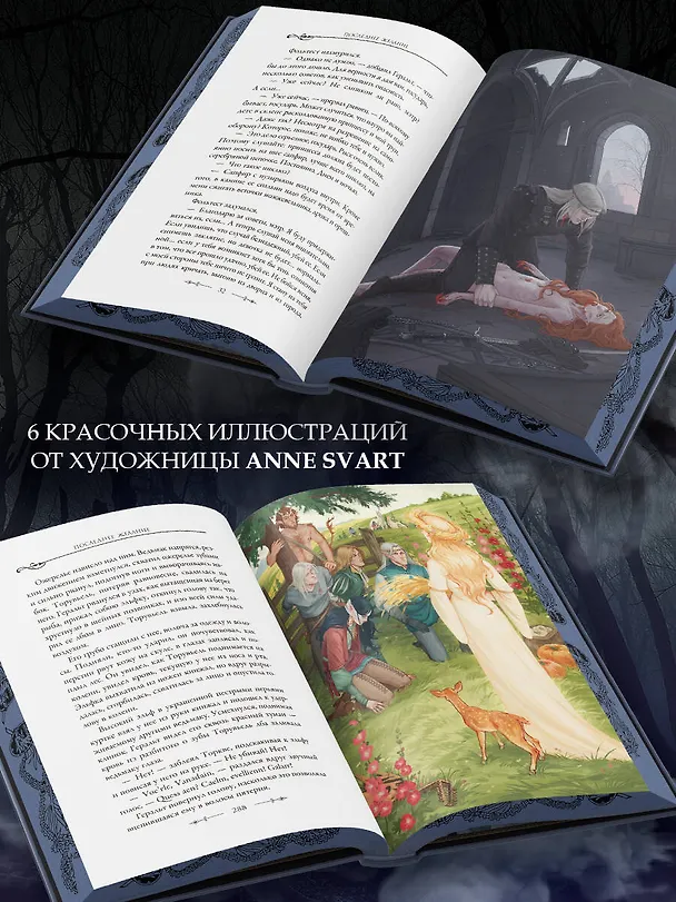 Книга Последнее желание (Анджей Сапковский) — 8
