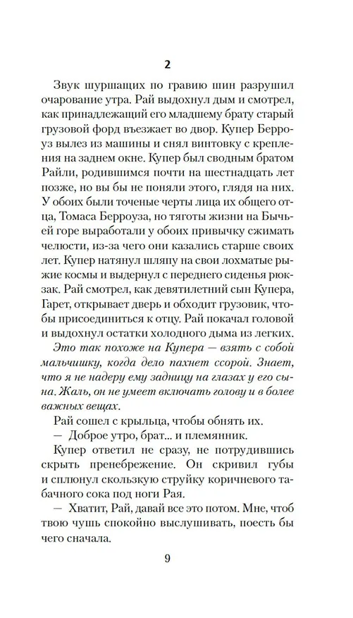 Книга Бычья гора (Брайан Панович) — 24