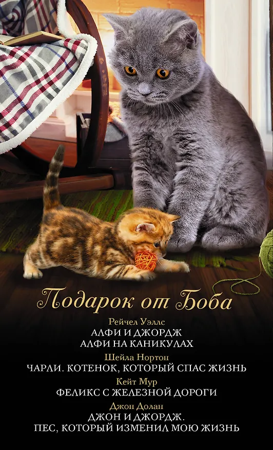 Книга ПОДАРОК ОТ БОБА: Книги о самых отважных домашних питомцах () — 3