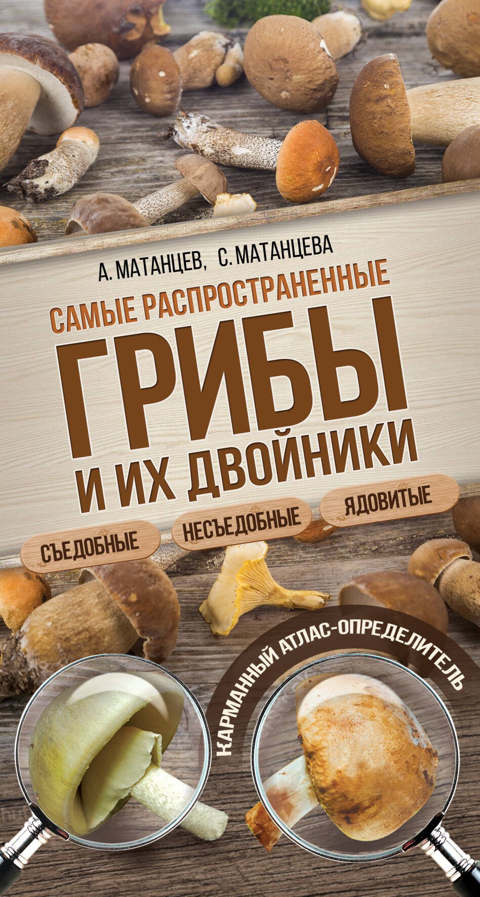 

Самые распространенные грибы и их двойники съедобные, несъедобные, ядовитые