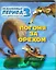 Ледниковый период 3: Эра динозавров: Погоня за орехом — 2205538 — 1