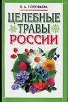 Книга Целебные травы России (Вера Соловьева)