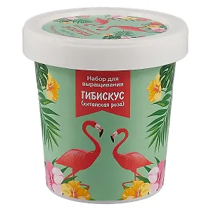 Набор для выращивания Гибискус (Фламинго) (НВ2018-14)