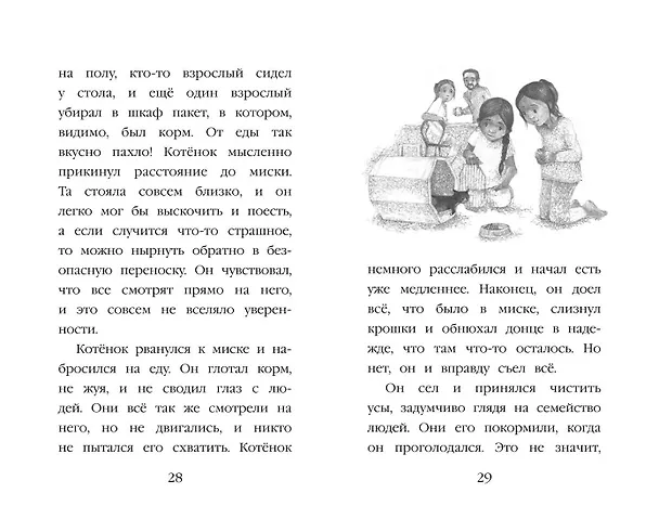 Книга Котенок Пикси, или Самый маленький друг (выпуск 58) (Холли Вебб) — 16