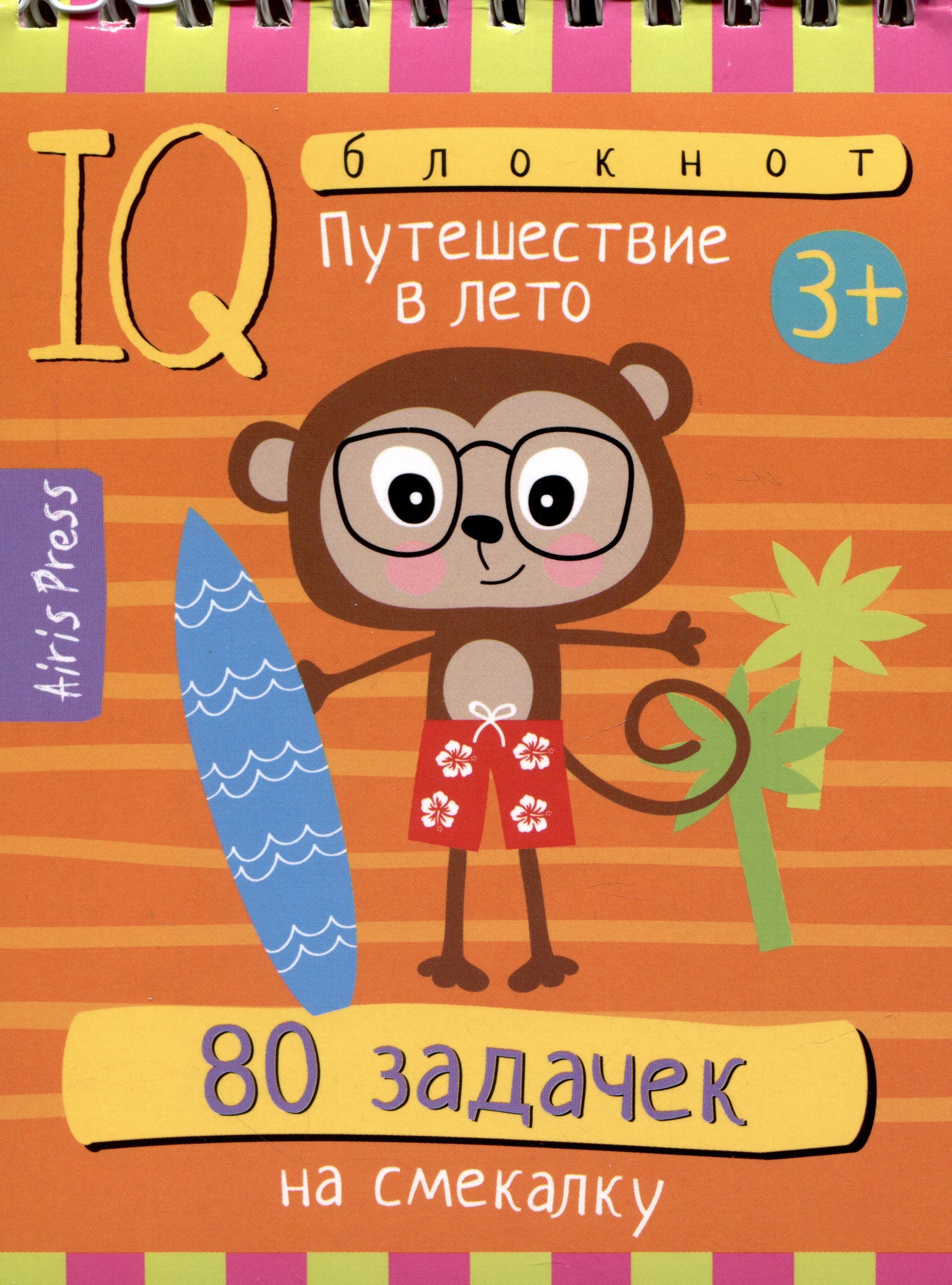 

IQ блокнот. 80 задачек на смекалку. Путешествие в лето