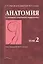 Анатомия (с основами спортивной морфологии). В 2-х томах. Том 2 — 2791561 — 1