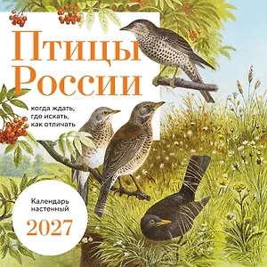 Птицы России: когда ждать, где искать, как отличать. Календарь настенный на 2027 год (300х300 мм)