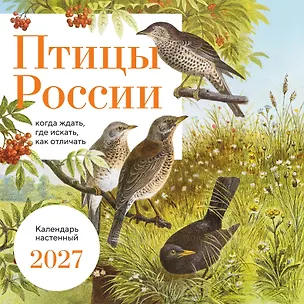 Птицы России: когда ждать, где искать, как отличать. Календарь настенный на 2027 год (300х300 мм) 3176282
