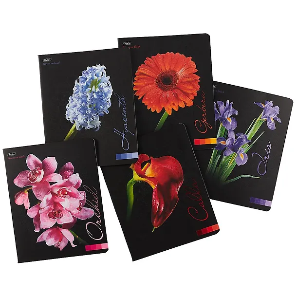 Тетрадь общая «Flower on black» в ассортименте, 48 листов в клетку, А5 - Hatber 246847 — 3