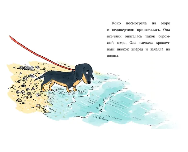 Книга Щенок Коко, или Загадка с одной таксой (цв.ил.) (Холли Вебб) — 8