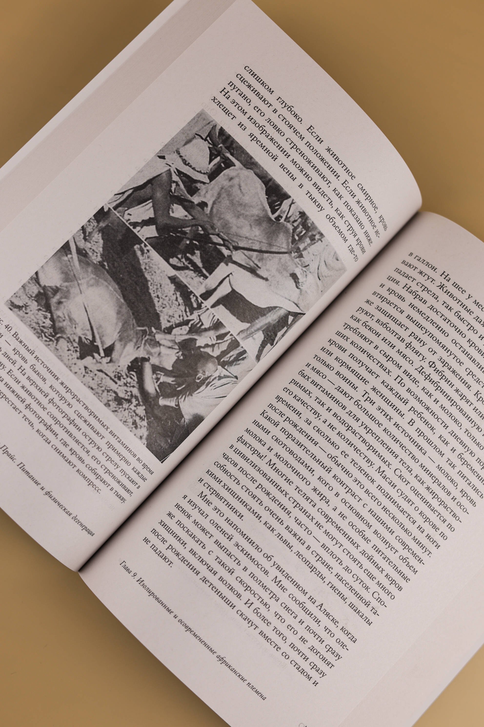 Изображение бумажной книги