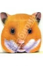 Прогулки хомячка