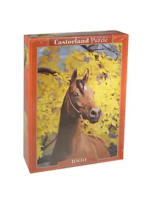 Пазл 1000 С-101290 Арабский скакун (castor)