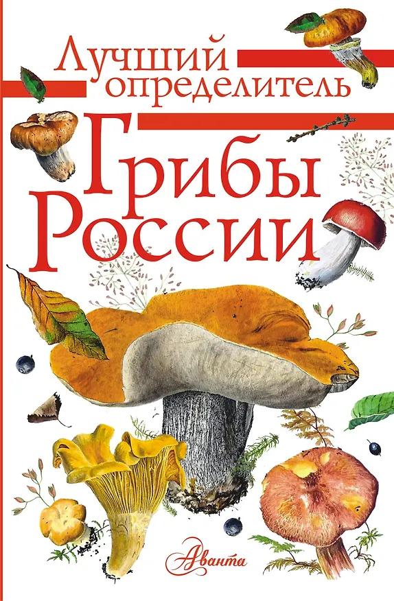 Книга Грибы России. Определитель (Станислав Кривошеев) — 1