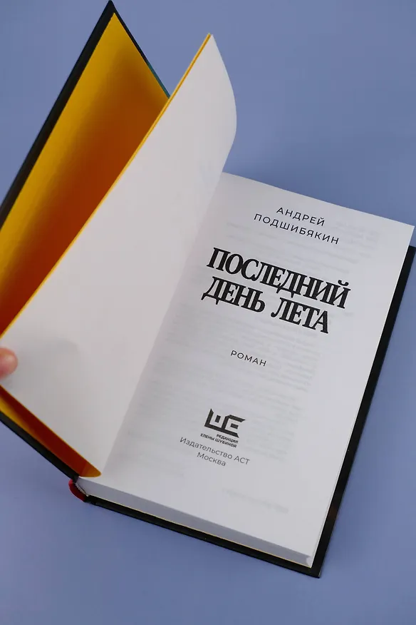 Книга Последний день лета (Андрей Подшибякин) — 14