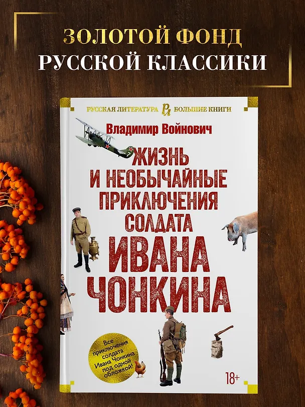 Книга Жизнь и необычайные приключения солдата Ивана Чонкина (Владимир Войнович) — 4