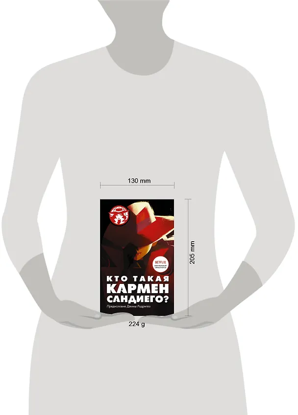 Книга Кто такая Кармен Сандиего? (Ребекка Тинкер) — 4