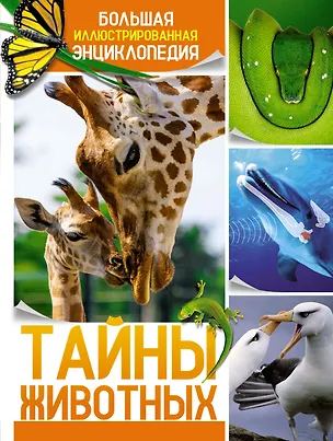 Книга Тайны животных. Большая иллюстрированная энциклопедия (Клаудио Бертонатти, Хавьер А. Перейра)