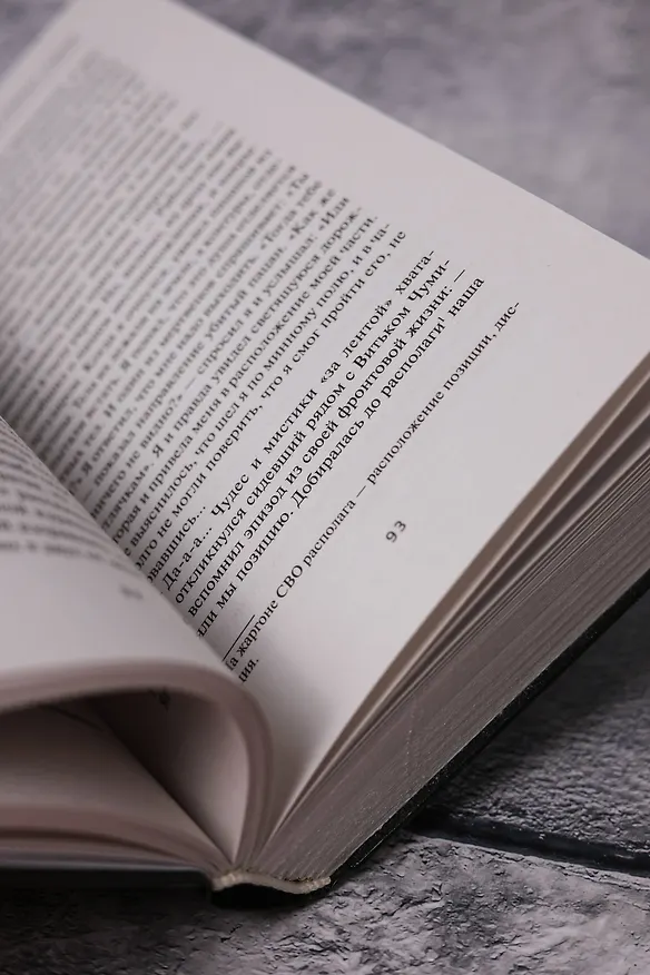 Книга Перебитые крылья судьбы (Алексей Горшенин) — 11