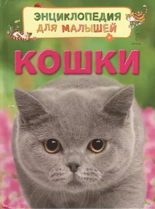 Кошки — 2549683 — 1