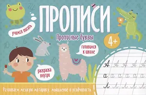 Прописные буквы. Прописи