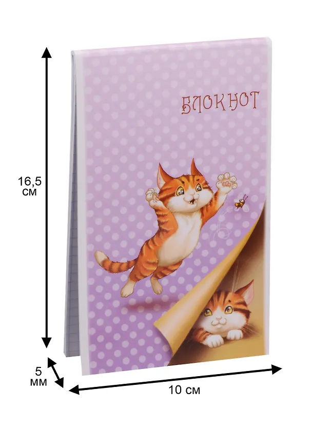 Блокнот клетка "Котята-игрята" 40 листов А6 243873 — 2