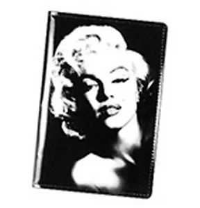 Обложка на паспорт из ПВХ Мерлин