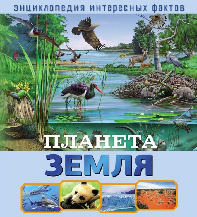 

Планета Земля