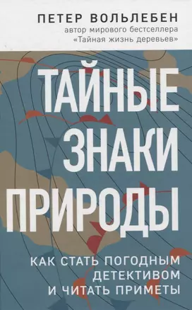 Тайные знаки природы: как стать погодным детективом и читать приметы — 2825398 — 1