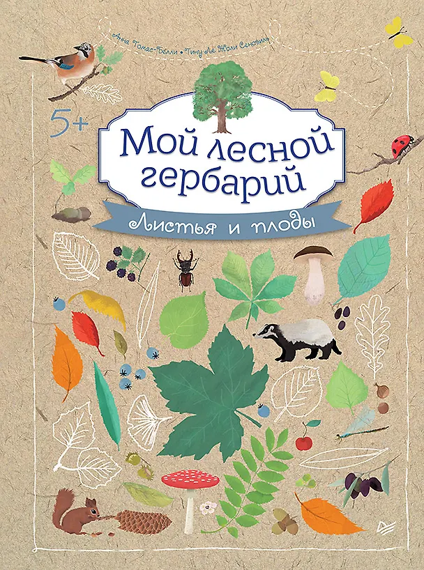 Книга Мой лесной гербарий (Анна Томас-Белли) — 1