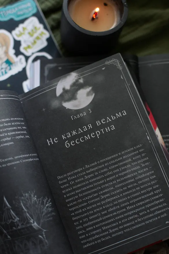 Книга Преданные. Белое с кровью (Кристина Робер) — 13