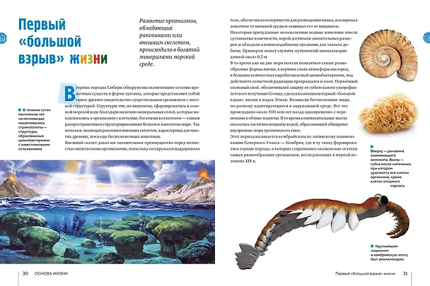 Книга Тайны морей и океанов. Большая иллюстрированная энциклопедия (Франческо Мило) — 17