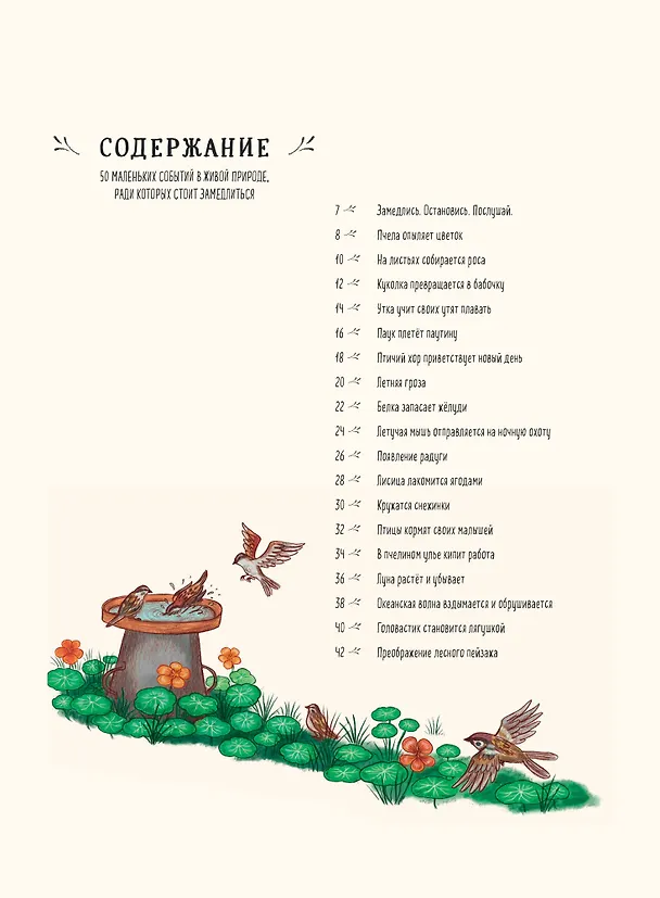 Книга Оглянись вокруг. 50 маленьких событий в живой природе, ради которых стоит замедлиться (Рэйчел Уильямс) — 9