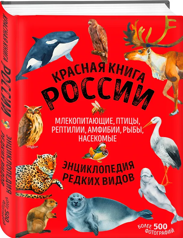 Книга Красная книга России: животные, растения, птицы, насекомые. Энциклопедия редких видов (Дмитрий Лукашанец, Екатерина Лукашанец) — 5
