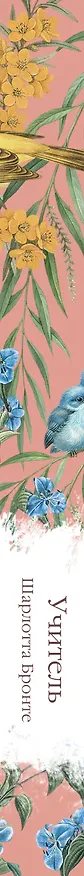 Книга Учитель (Шарлотта Бронте) — 3