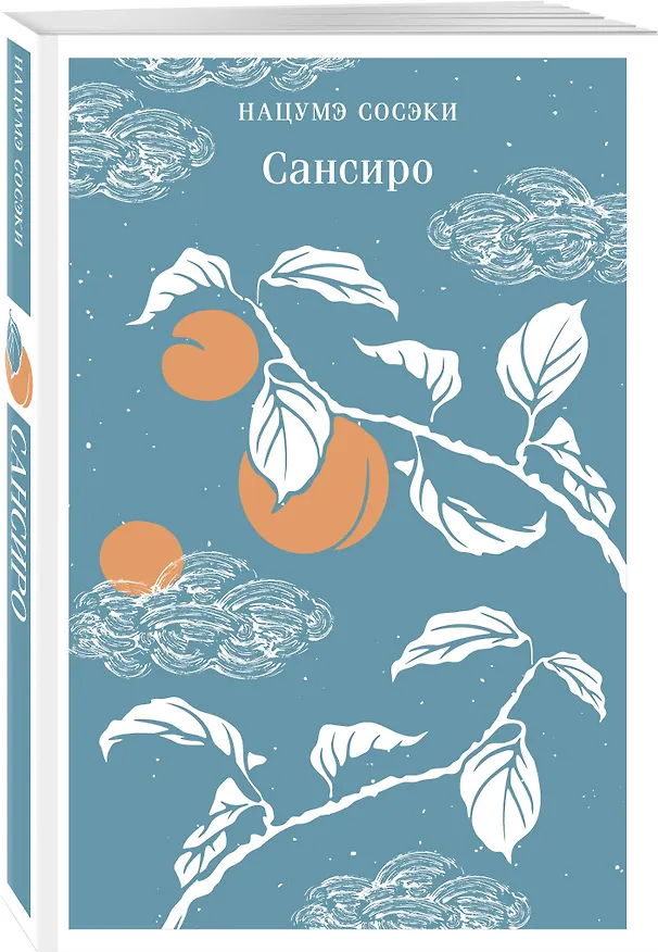 Книга Сансиро (Сосэки Нацумэ) — 6