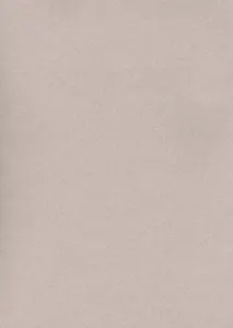 Бумага для пастели А4 "Mi-Teintes" 160г/м2 №426 лунный камень с ворсом, Canson