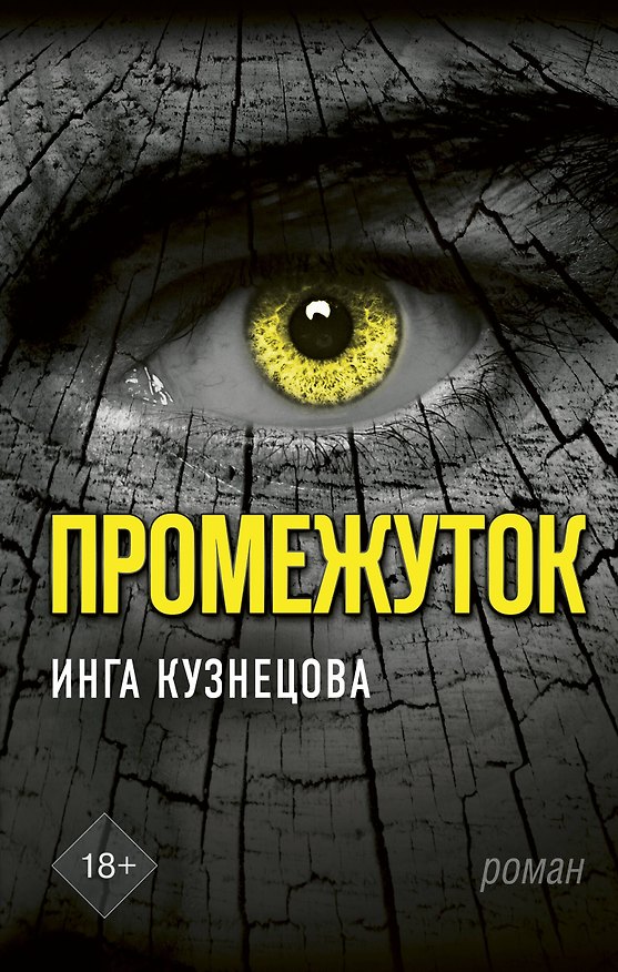 Книга Промежуток (Инга Кузнецова) — 1