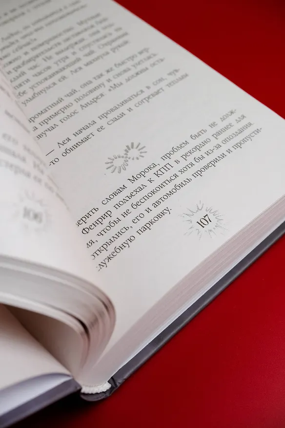 Книга Нарушитель границ (Эмма Райц) — 13