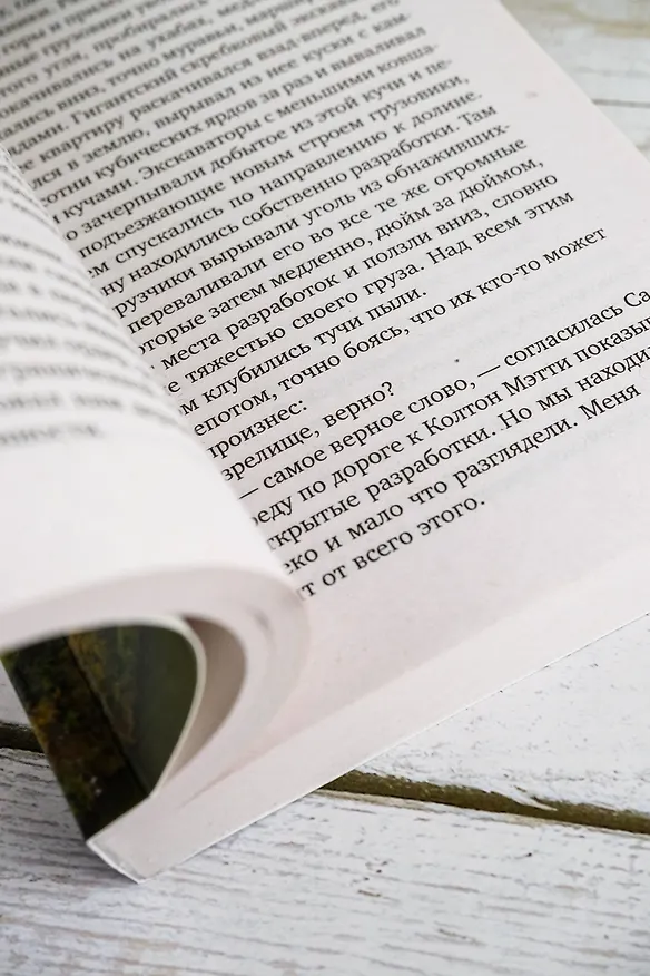 Книга Серая гора (Джон Гришэм) — 7