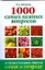 1000 самых важных вопросов и самых полных ответов о саде и огороде — 2193060 — 1