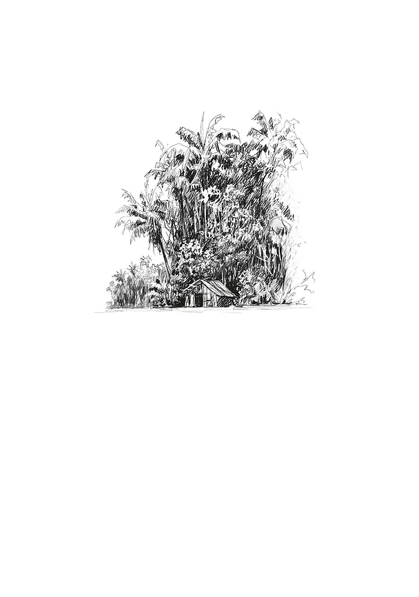Книга Петтерсы. Дети гор (Павел Воля) — 6