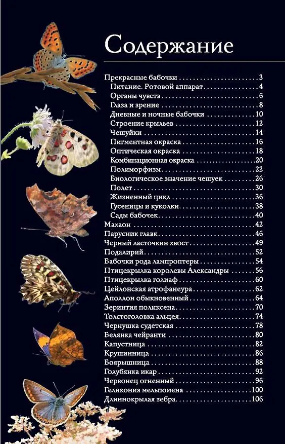 Книга Бабочки. Иллюстрированный гид (Анна Спектор) — 8