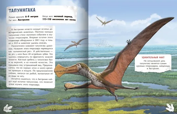 Книга Летающие хищники (Наталья Бурцева) — 4