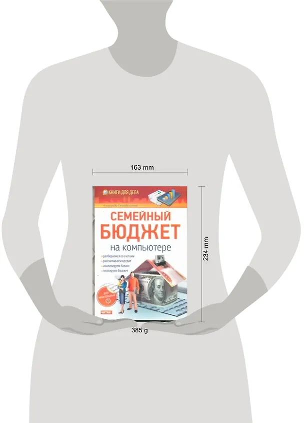 Книга Семейный бюджет на компьютере (Александр Скоробогатов) — 2